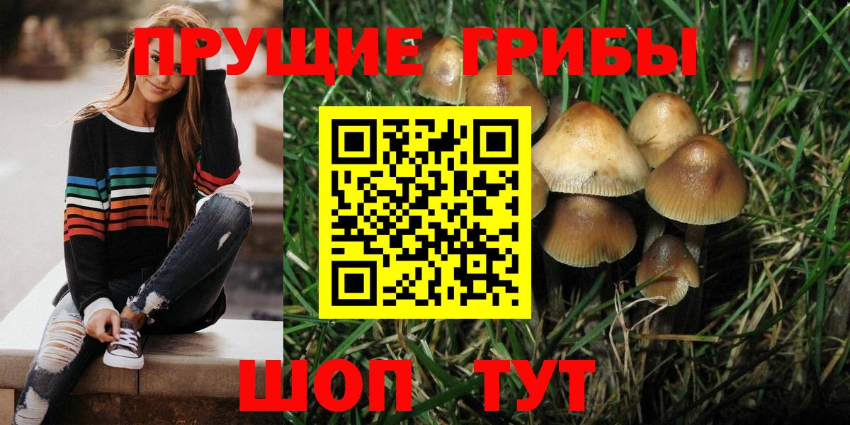 Псилоцибиновые грибы ЛСД  Псилоцибиновые грибы Psilocybine cubensis  Вход с VPN  где найти наркотики  Сафоново 